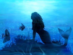 ���������, ����, ���������